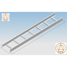 Cable Tray Ladder Roll Formando el sistema de gestión en los Emiratos Árabes Unidos